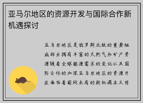 亚马尔地区的资源开发与国际合作新机遇探讨
